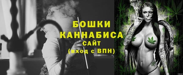 прущие грибы Аркадак