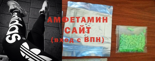 прущие грибы Аркадак