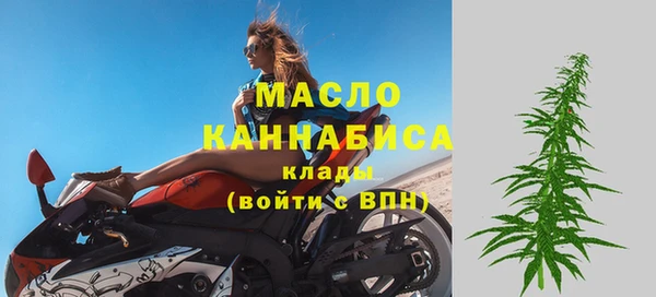 прущие грибы Аркадак