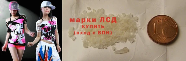 прущие грибы Аркадак