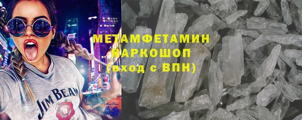 прущие грибы Аркадак