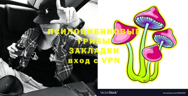 прущие грибы Аркадак