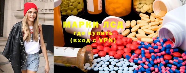 прущие грибы Аркадак